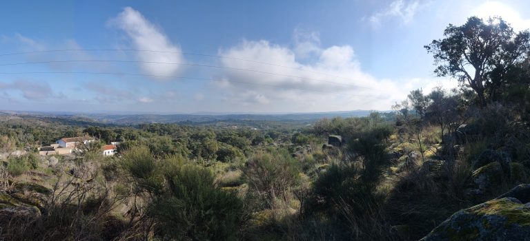 PXL_20220227_091506632