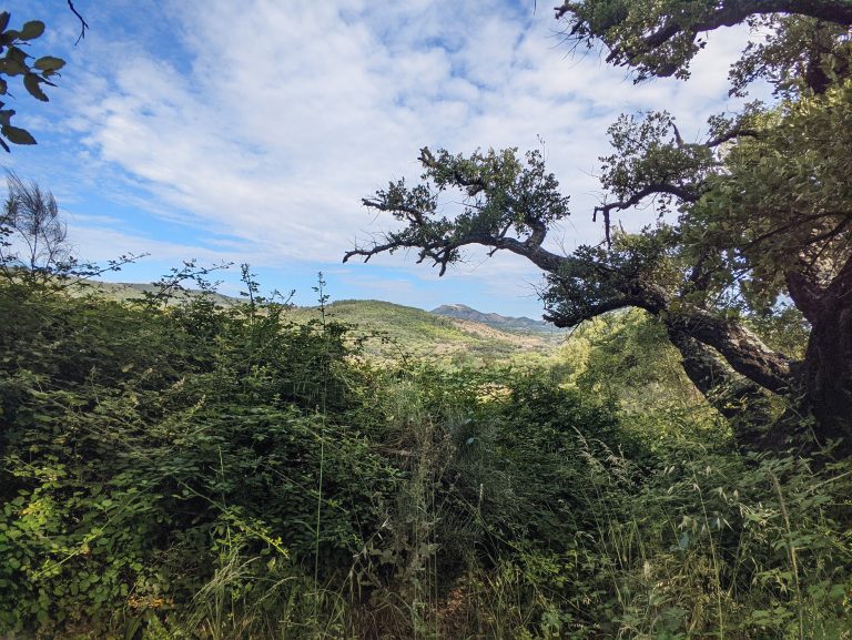 PXL_20230603_083407904