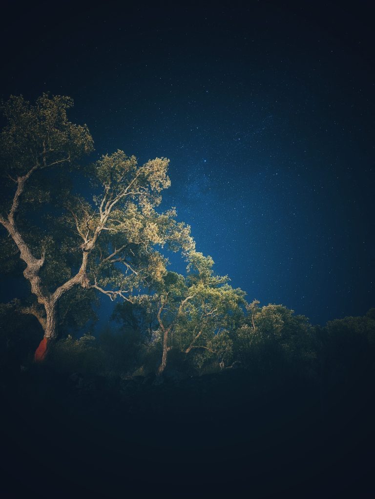 PXL_20230722_214401664