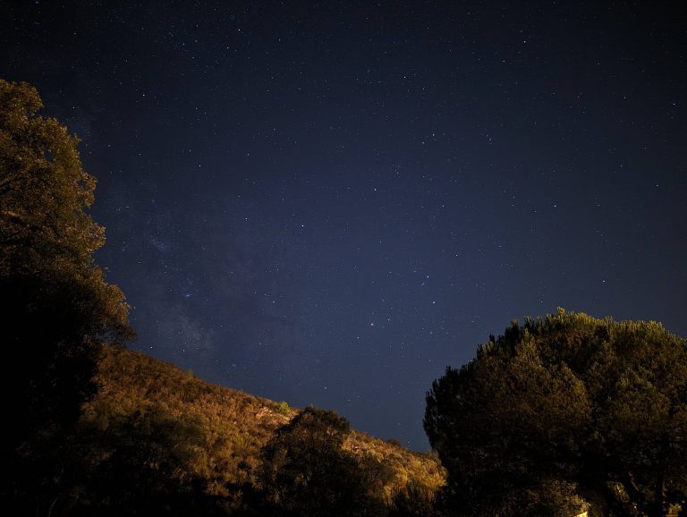 PXL_20230722_215023502